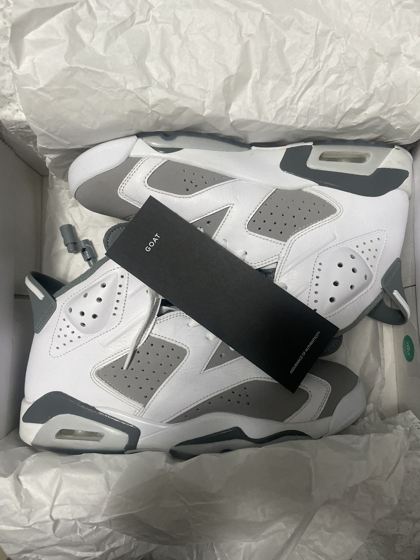 Cool grey 6s