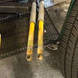 Rear Shocks 