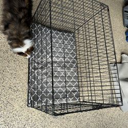 Dog Crate 