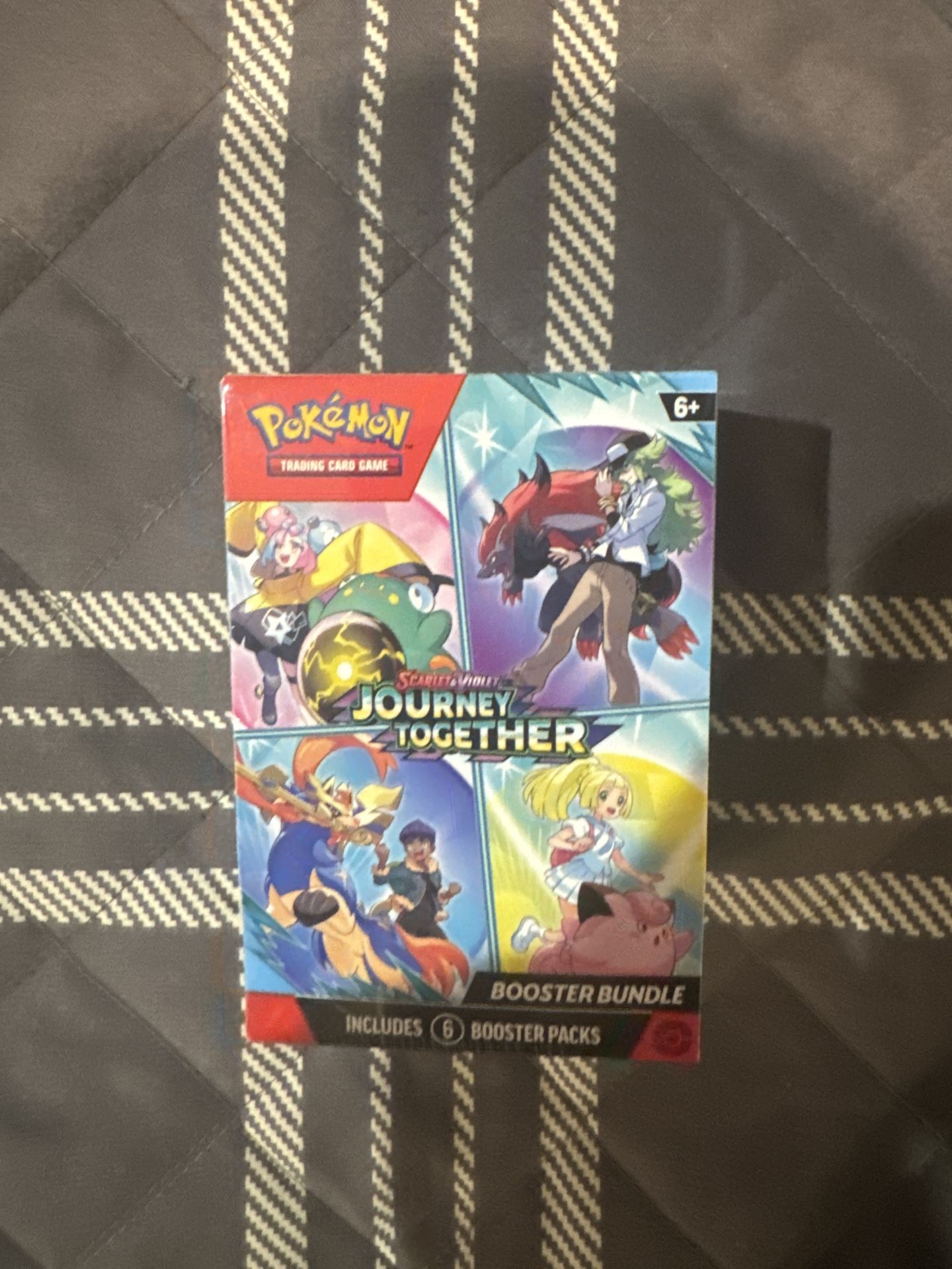 Pokémon Journey Together