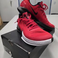 Kobe Mamba Focus Shoes