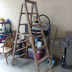 Heavy Duty What Ladder