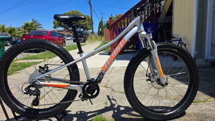 Specialized Riprock 24"Tires 
Great Condition