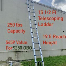 Telescoping Ladder