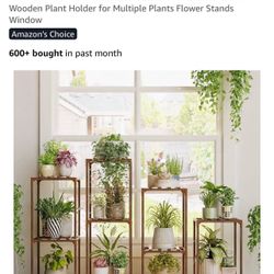 Plant Stands (new in box) $20 Firm 
