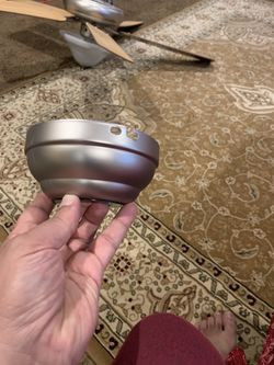 Ceiling fan