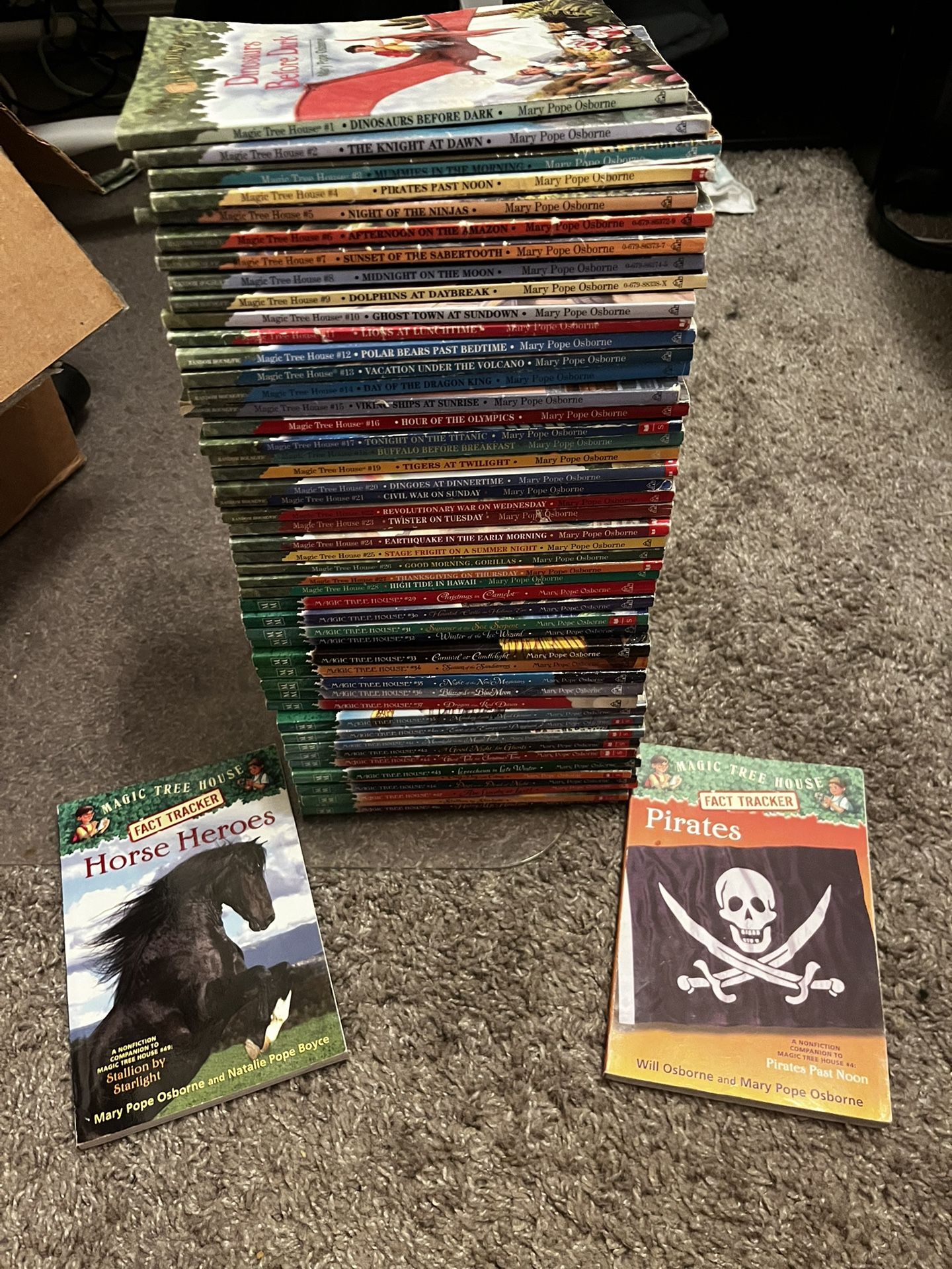 Magic Tree House Books!