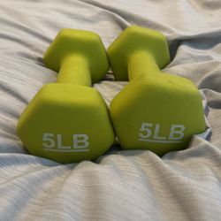 5 pound hand weights