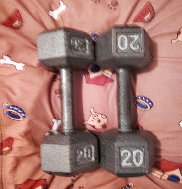 Dumbbells Set 20 Pounds