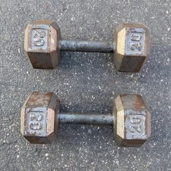 Cast Iron Dumbbell (20lbs)
