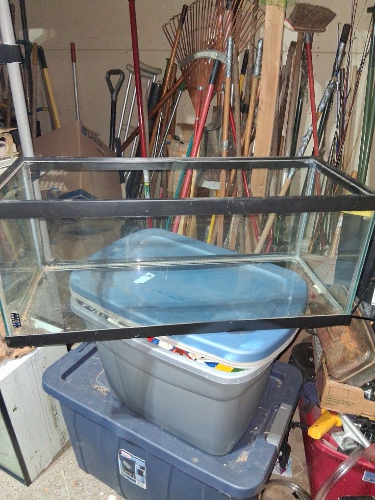 Reptile Aquarium