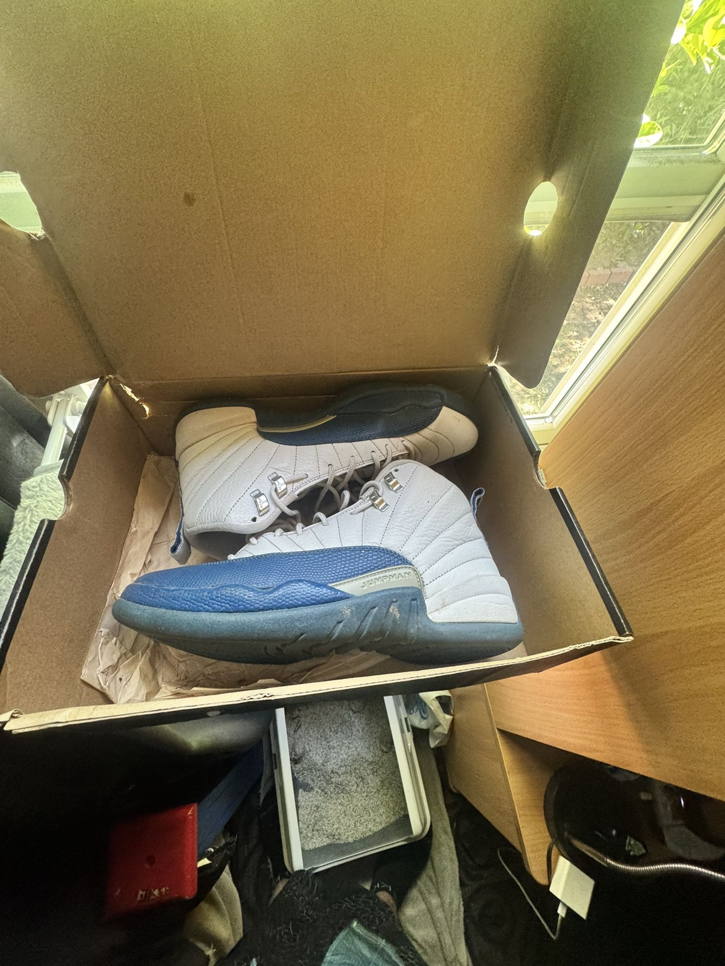 Air Jordan French Blue 12s