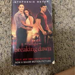 Breaking Dawn Book