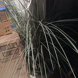 Garbage Bin, Various Decorations 