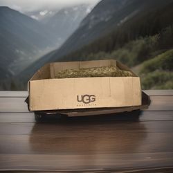 Boots 👢 UGG Womens Classic Tall Ii Boots | Black | 1016224-BLK | Authentic New