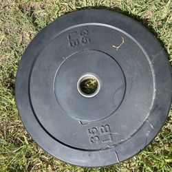 35lb Plates