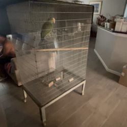 Bird Cage - Jaula Para Pájaro 