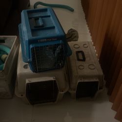 Pet Cage. 