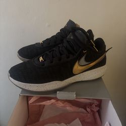 LeBron 20  size 13