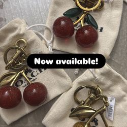 coach keychain