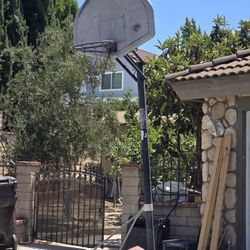 Free Basketball Hoop