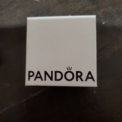 Pandora Quinceanera Charm