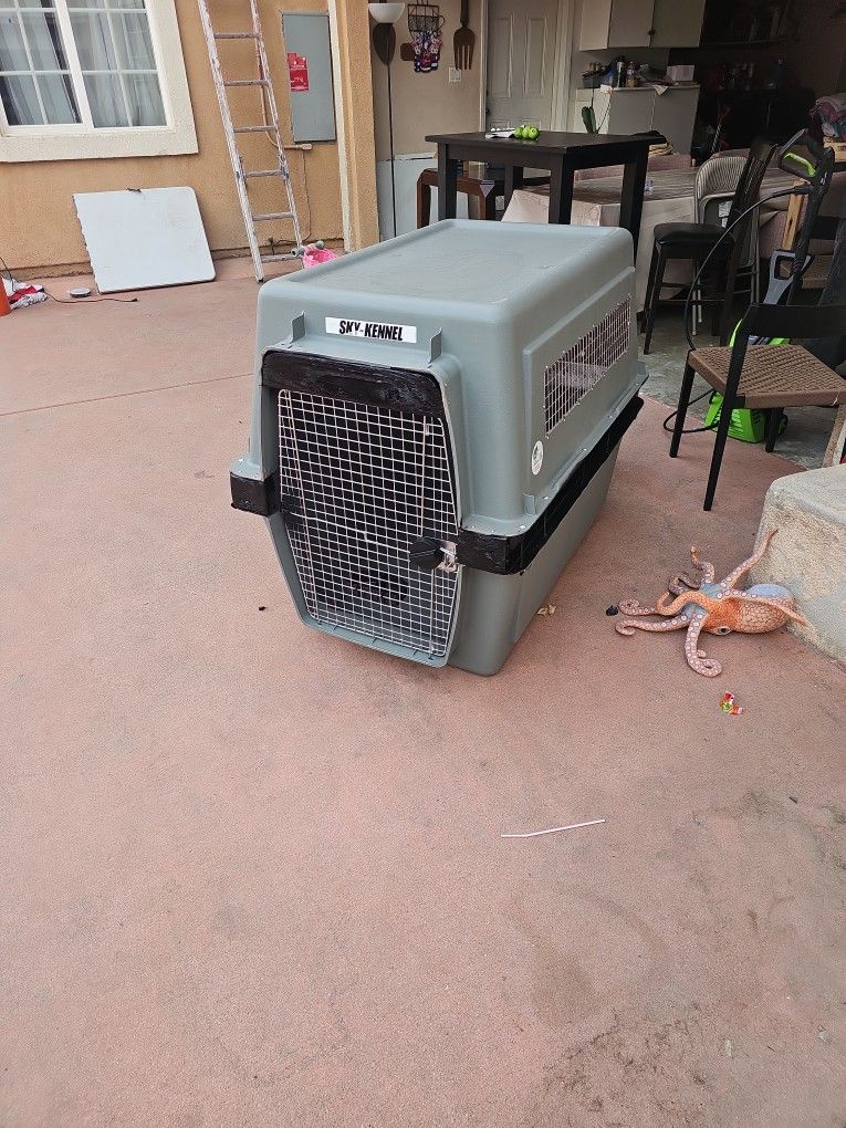 Sky KENNEL XXL