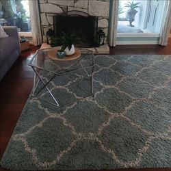 8 x 10 Rug