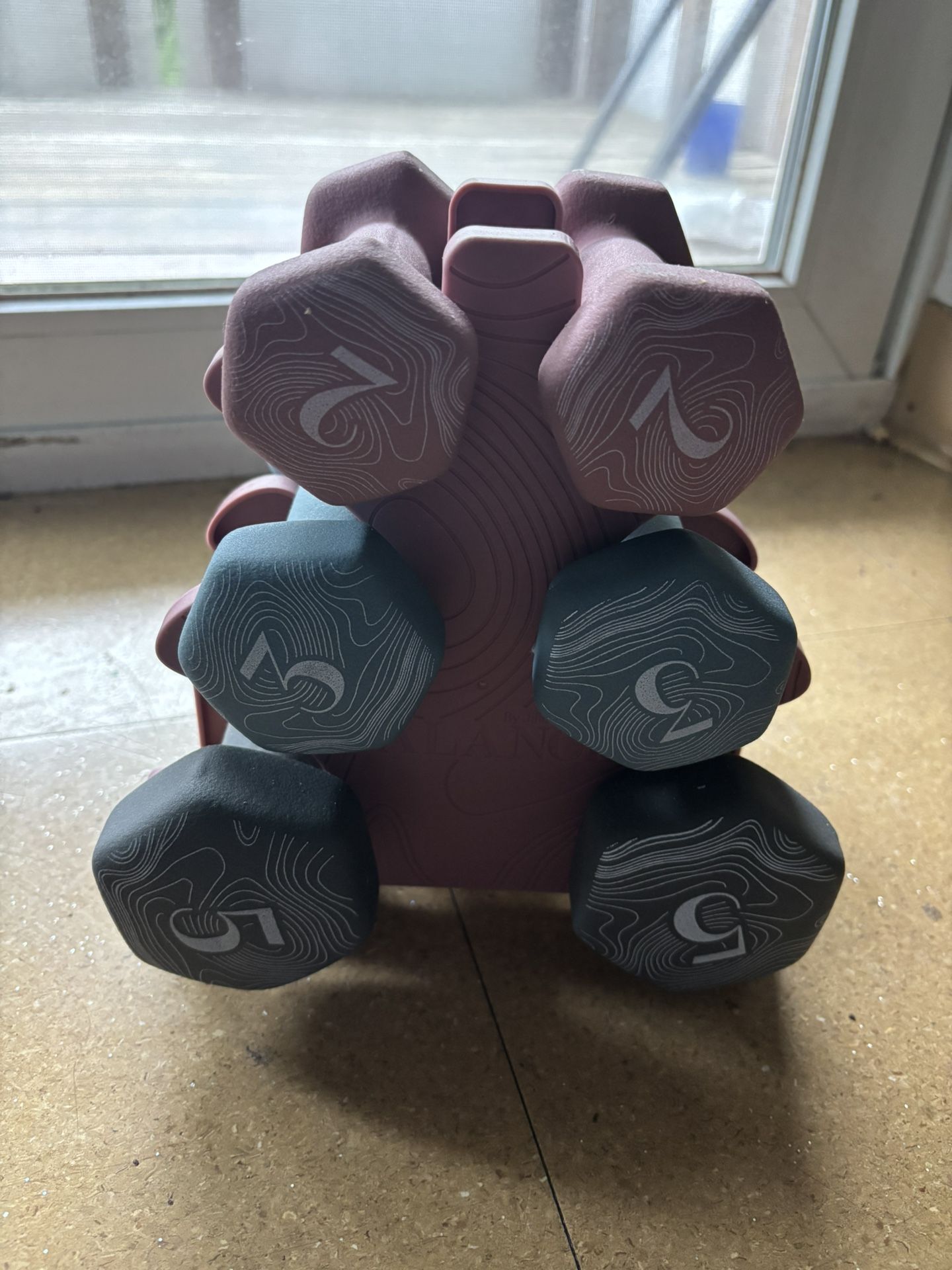 Dumbbell Set Women