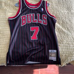 Toni Kukoc Large Mitchell And Ness Worn Once