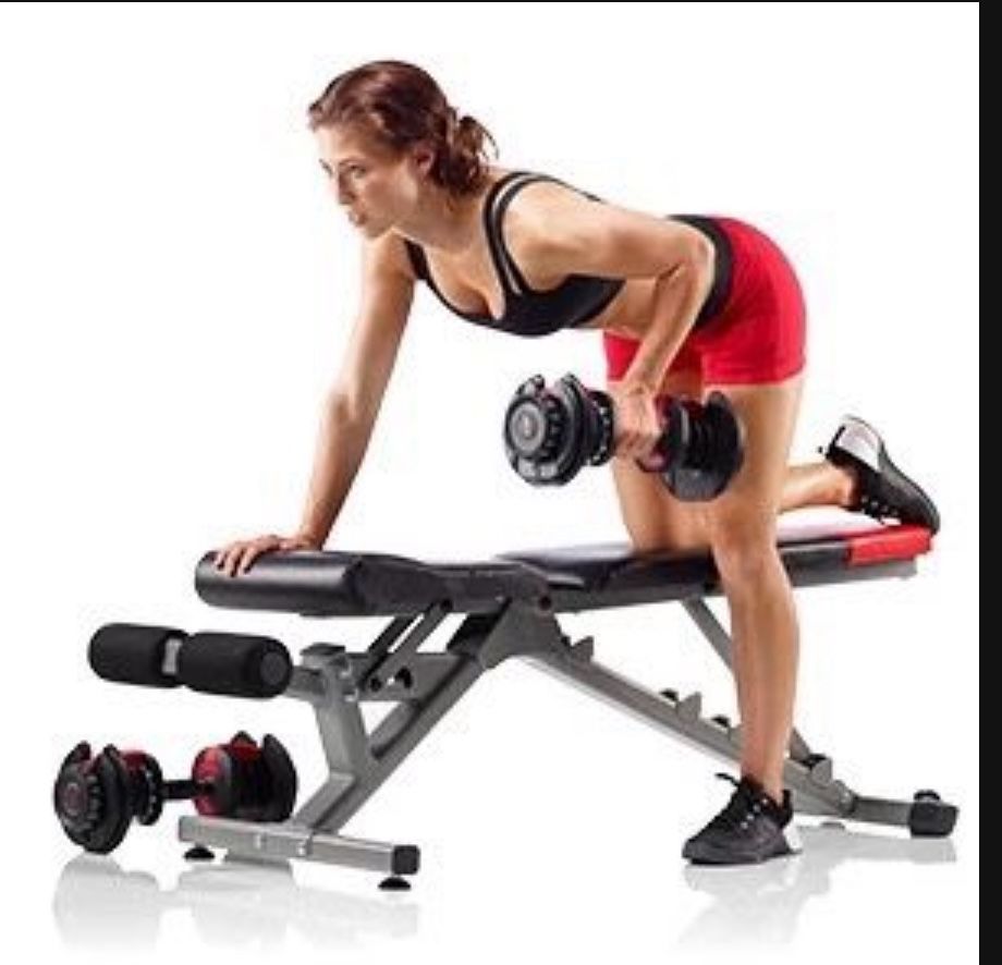 Adjustable Dumbbell  Full Set  $600 Retail 52 LBS  X 2 Plus stand  And  Gym Weight 104 Lbs Total Sport, Great Gift idea