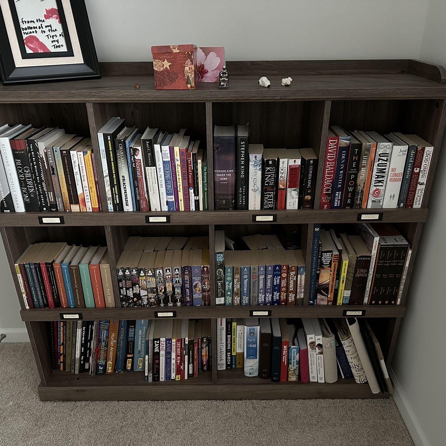 Bookcase 