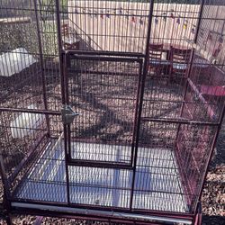 Large Bird Cage