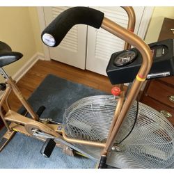 *Vintage GOLD SCHWINN AIRDYNE Dual Action EXCERCISE BIKE w/READING RACK SPEEDO