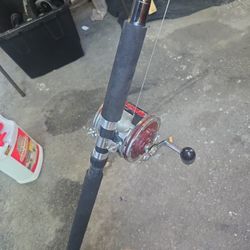 FISHING  ROD  WITH  REEL  (10 FT )