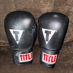 MMA Training Gloves  