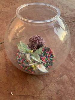 Aquarium