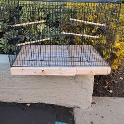 Bird Cage