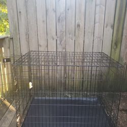 Dog Cage 