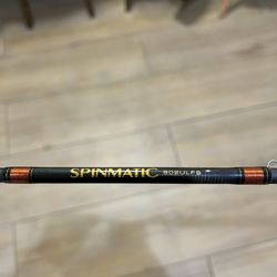 Fishing Rod (Daiwa Spinmatic) 