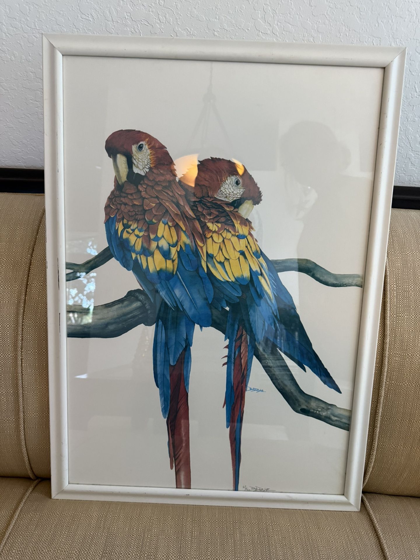 PRINT PAINTING FRAME PARROT