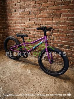 NEW RAPTOR PLUS 20 BERRY PURPLE GEARED KIDS YOUTH GIRLS MTB MTN MOUNTAIN BIKE