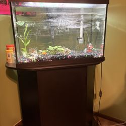 Fish tank With Stand