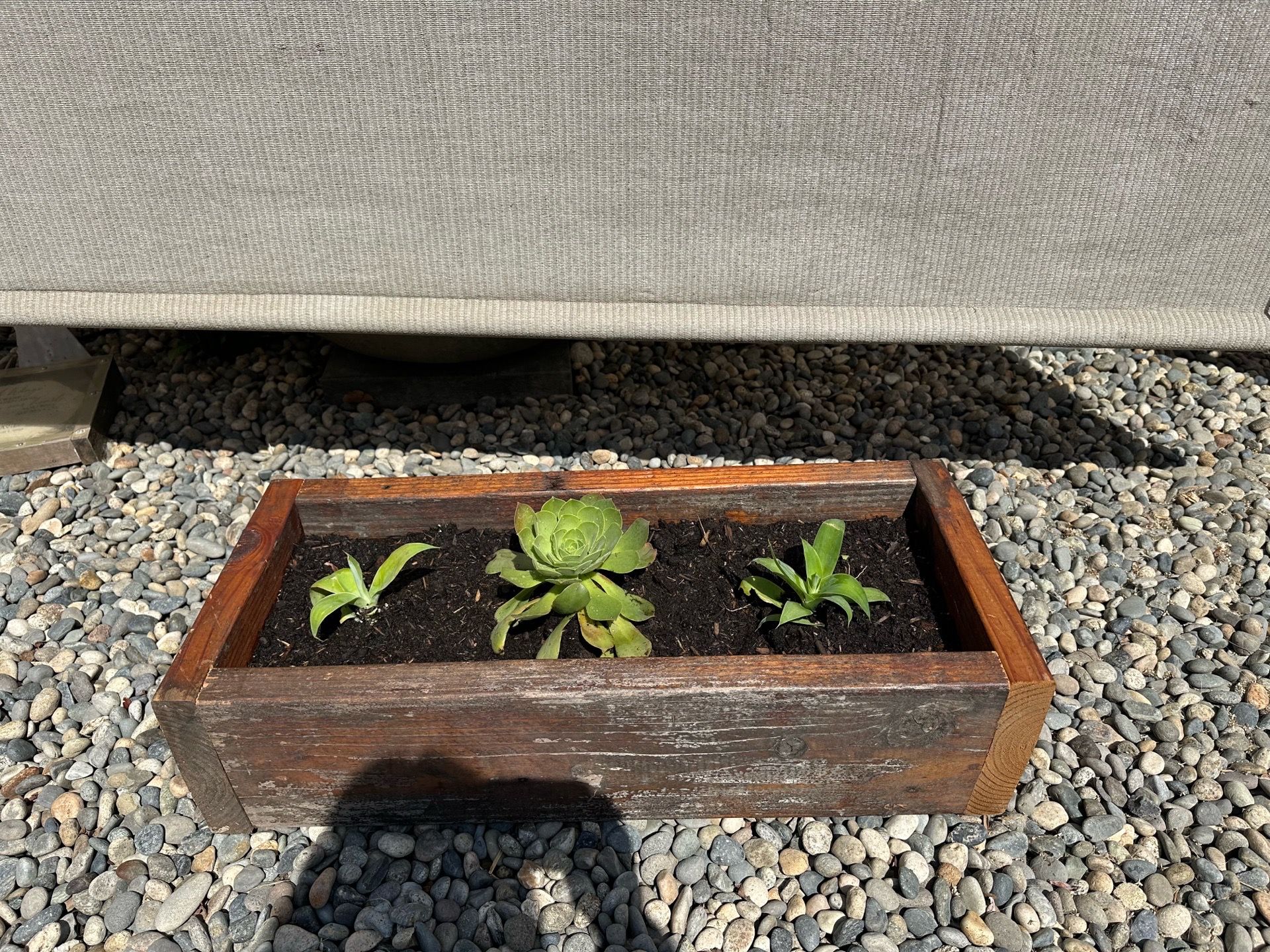 Succulent planter boxes
