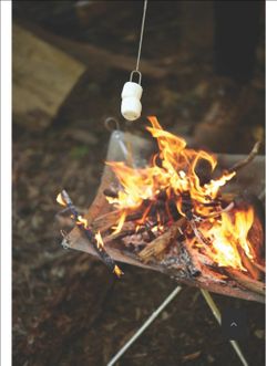 Fire Pit