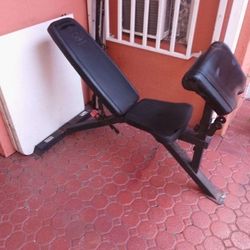 Adjustable Bench With Preacher Curl, Squat Rack, Total Gym, Step Platform, Olympic Bars, Weights, Bumper Plates, Station 