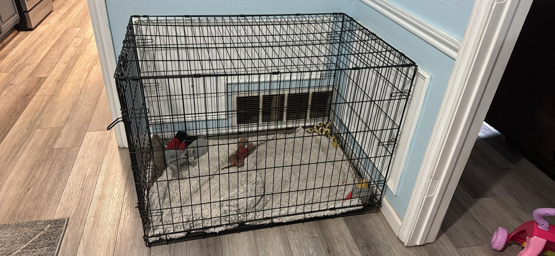 Dog Kennel