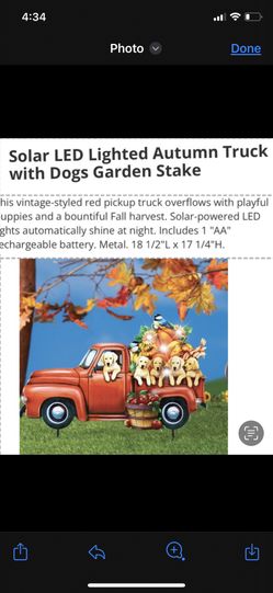 Solar LED Lighted Autumn Truck with Dogs Garden Stake
