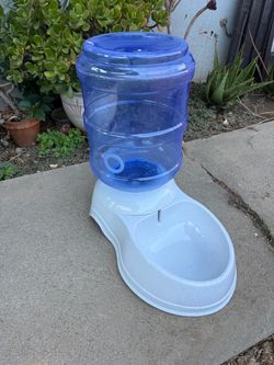 Pet water dispenser
