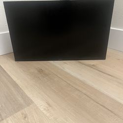 28” Adjustable Monitor  1080p